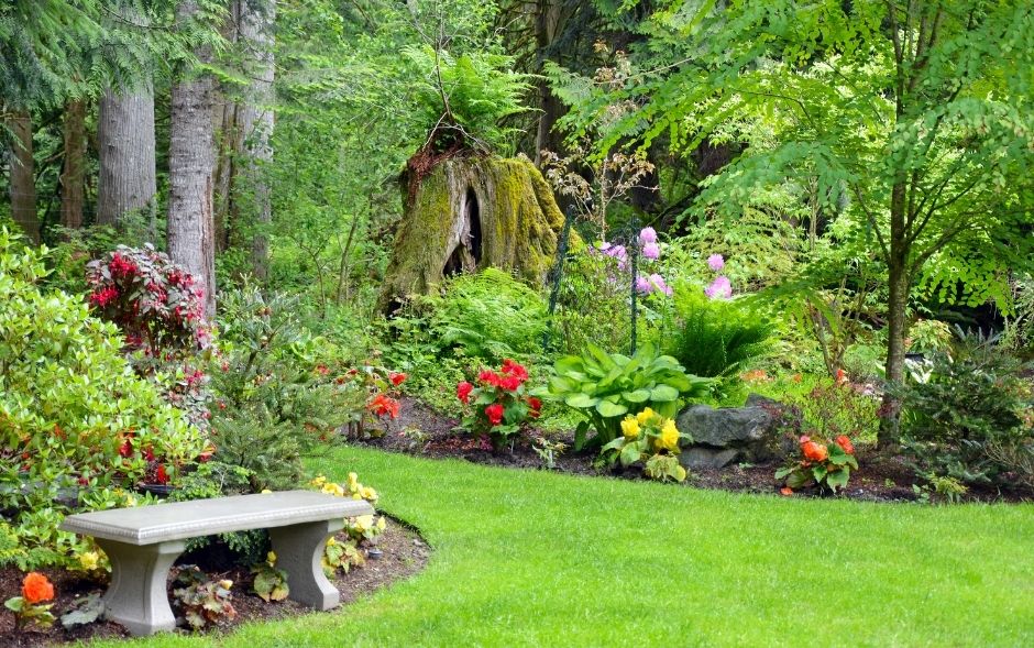 Garden-pic